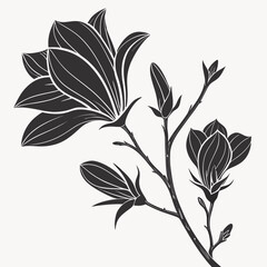 black and white flowers