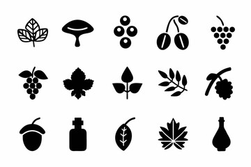 Collection of plant icons set of different plant designs for nature and botany related projects