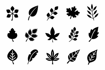 Collection of various leaf icons set of different leaf shapes and styles for nature, plant, and autumn designs and concepts