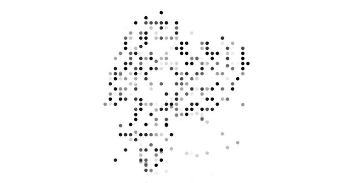 Post-Conceptual Circles Fly Assembling Ecuador's Map Outline