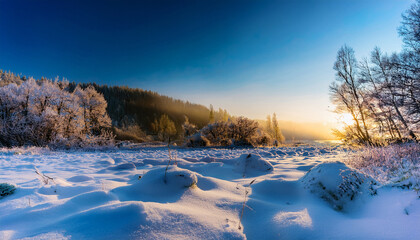 The Colors Of Nature In Cold Winter