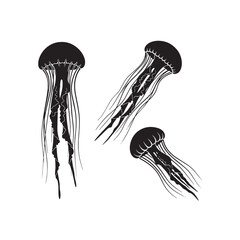 Sea Jellyfish Silhouette Vector Set