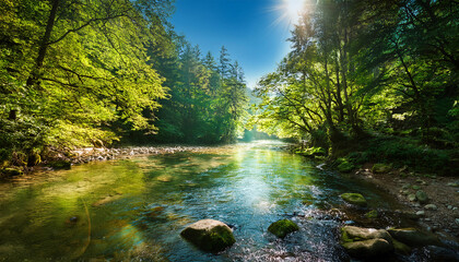 Tranquil Scene Of A Clear River Flows Through A Lush Green Forest Reflecting Sunlight And Offering A Serene Natural Landscape