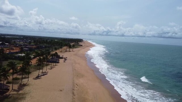 Aerial view of the beautiful beach with palm trees in grand popo, benin