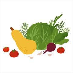 Simple flat vegetables composition. Colorful autumn harvest of pumpkin zucchini eggplant cabbage pepper cucumber potato tomato cabbage corn carrot for healthy and vegetarian food design