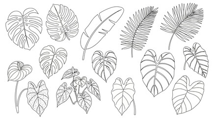 set of leaves