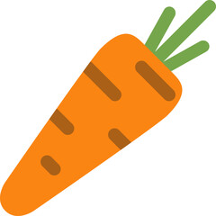 Healthy Carrot Illustration