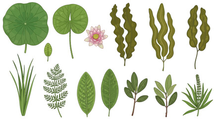 set of plants