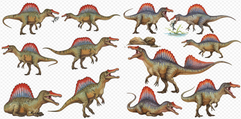 A collection of detailed illustrations depicting Spinosaurus dinosaurs in various dynamic poses, showcasing their distinctive sail and elongated snout.