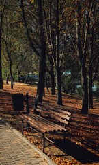 bench in autumn park