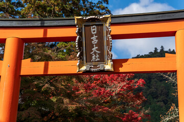 Close-up of Hiyoshi Taisha Shrine torii gate plaque, framed by vibrant autumn maple leaves against a blue sky. Otsu, Shiga, Japan. Japanese translation : Hiyoshi Taisha Shrine.