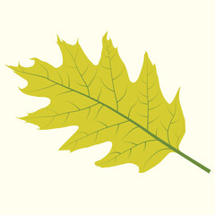 Realistic Leaf Vector Line Art – Botanical, Nature, Eco-Friendly Illustration