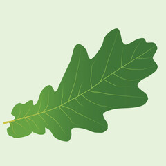 Realistic Leaf Vector Line Art – Botanical, Nature, Eco-Friendly Illustration