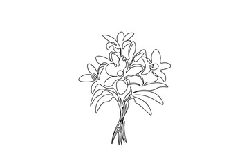 Flower bouquet in continuous one line drawing. Single line art illustration of romantic flower bouquet. Editable vector.