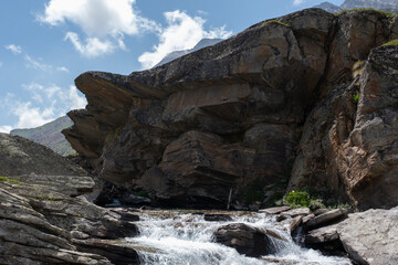 Natural variety found in an Alpine valley. Europe.
They were mainly taken in the Gran Paradiso valley, Italy. They were taken during a 7-day hike. From 1800 to 3100 meters altitude. 