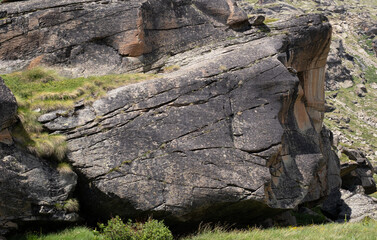 Natural variety found in an Alpine valley. Europe.
They were mainly taken in the Gran Paradiso valley, Italy. They were taken during a 7-day hike. From 1800 to 3100 meters altitude. 
