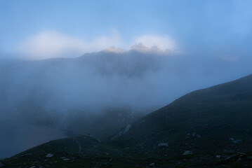 Natural variety found in an Alpine valley. Europe.
They were mainly taken in the Gran Paradiso valley, Italy. They were taken during a 7-day hike. From 1800 to 3100 meters altitude. 