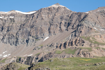 Natural variety found in an Alpine valley. Europe.
They were mainly taken in the Gran Paradiso valley, Italy. They were taken during a 7-day hike. From 1800 to 3100 meters altitude. 