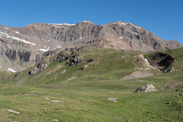 Natural variety found in an Alpine valley. Europe.
They were mainly taken in the Gran Paradiso valley, Italy. They were taken during a 7-day hike. From 1800 to 3100 meters altitude. 