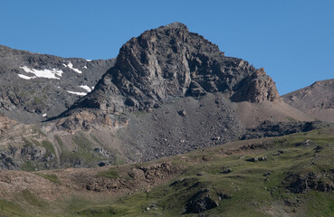 Natural variety found in an Alpine valley. Europe.
They were mainly taken in the Gran Paradiso valley, Italy. They were taken during a 7-day hike. From 1800 to 3100 meters altitude. 