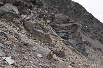 Natural variety found in an Alpine valley. Europe.
They were mainly taken in the Gran Paradiso valley, Italy. They were taken during a 7-day hike. From 1800 to 3100 meters altitude. 