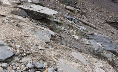 Natural variety found in an Alpine valley. Europe.
They were mainly taken in the Gran Paradiso valley, Italy. They were taken during a 7-day hike. From 1800 to 3100 meters altitude. 
