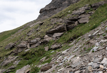 Natural variety found in an Alpine valley. Europe.
They were mainly taken in the Gran Paradiso valley, Italy. They were taken during a 7-day hike. From 1800 to 3100 meters altitude. 