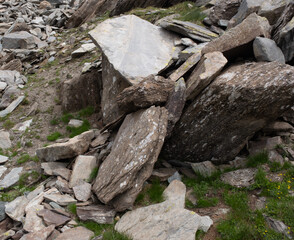 Natural variety found in an Alpine valley. Europe.
They were mainly taken in the Gran Paradiso valley, Italy. They were taken during a 7-day hike. From 1800 to 3100 meters altitude. 