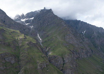 Natural variety found in an Alpine valley. Europe.
They were mainly taken in the Gran Paradiso valley, Italy. They were taken during a 7-day hike. From 1800 to 3100 meters altitude. 