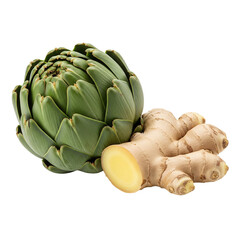 Fresh Artichoke and Ginger Root on White Background