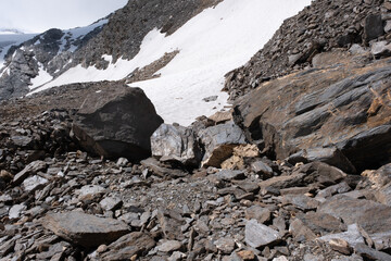 Natural variety found in an Alpine valley. Europe.
They were mainly taken in the Gran Paradiso valley, Italy. They were taken during a 7-day hike. From 1800 to 3100 meters altitude. 