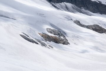 Natural variety found in an Alpine valley. Europe.
They were mainly taken in the Gran Paradiso valley, Italy. They were taken during a 7-day hike. From 1800 to 3100 meters altitude. 