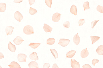 Beautiful close-up of pink hydrangea flower petals on a muted pastel beige backdrop