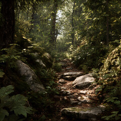 Discover the Beauty and Adenture of Forest Trails: AGuide to Serene and Excitig Hiking Experiences in Naure's Wilderness