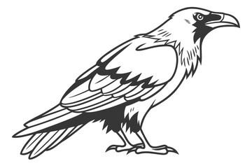 Detailed Hand-Drawn Bald Eagle and Tree Illustration