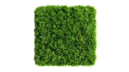 Square of green grass isolated on transparent background
