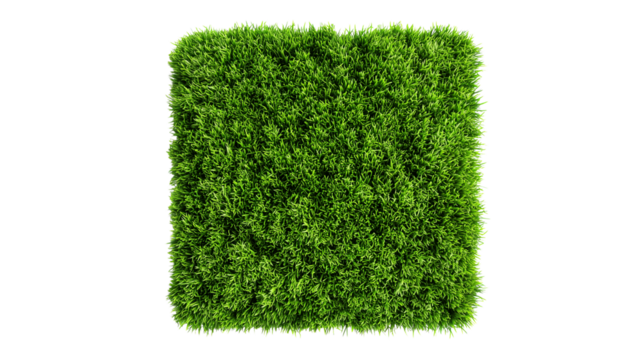 Square of green grass isolated on transparent background