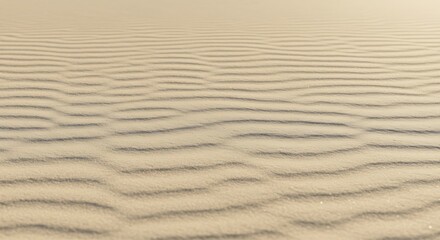 Obraz premium Serene vista of wind-sculpted sand dunes displaying intricate ripple patterns that extend towards a hazy horizon, capturing the raw beauty of arid environments
