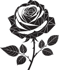 black and white roses