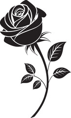 black and white roses