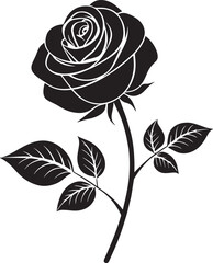 black and white roses