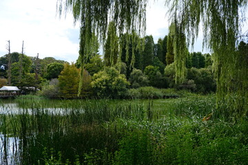 Obraz premium 초록초록한 녹지 공원