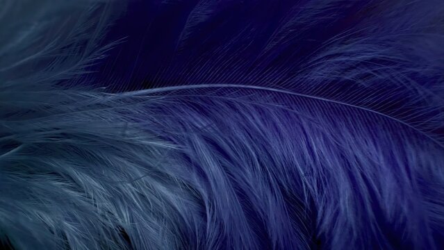 close-up delicate purple feather texture with soft flowing details, ideal for abstract design, wallpaper, and editorial illustrations - Powered by Adobe