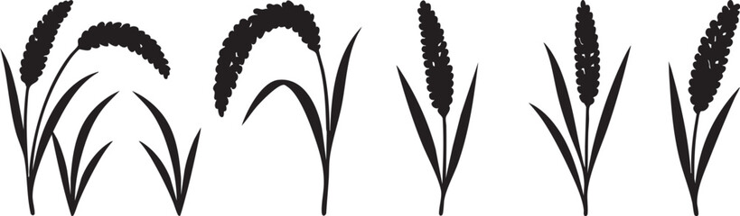 Rice stalks illustration