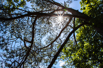 Fototapety na wymiar - Fototapeta24.pl