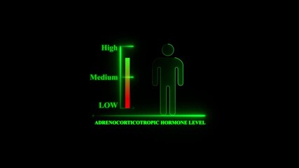 Adrenocorticotropic Hormone Level Indicator with Human Silhouette. Glowing neon animation and black background.
