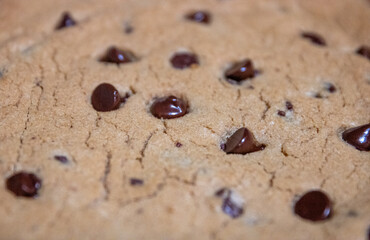 Baked Chocolate Chip Cookie Cake