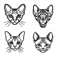 A Majestic and Exotic Savannah Cat, a Servalhy Brid with a Wild Look and a Stunning Spotted Coat, a Curious Feline with Long Tall Legs