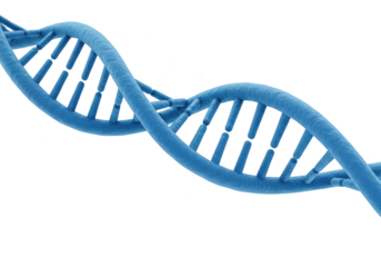Detailed 3d rendering of a blue dna double helix molecule isolated on transparent background