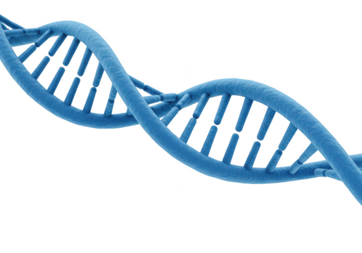 Detailed 3d rendering of a blue dna double helix molecule isolated on transparent background - Powered by Adobe